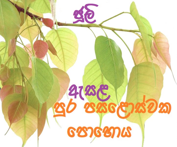 7. Esala Poya 